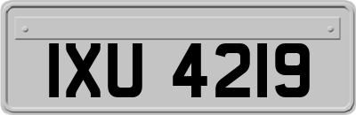 IXU4219
