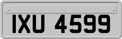 IXU4599