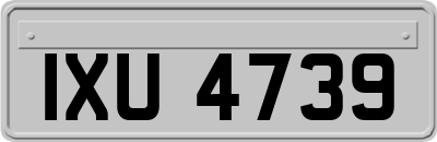 IXU4739