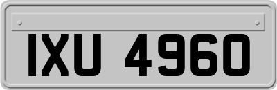 IXU4960