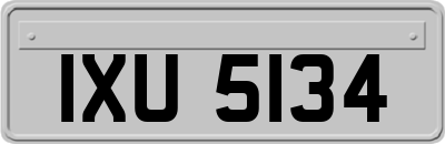 IXU5134