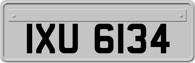IXU6134