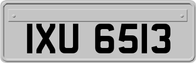 IXU6513