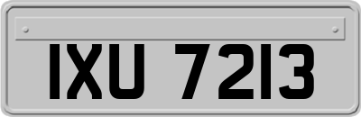 IXU7213
