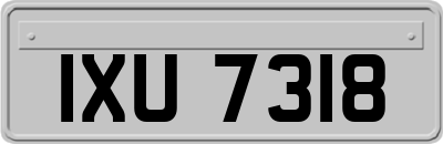 IXU7318