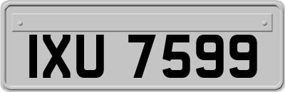IXU7599