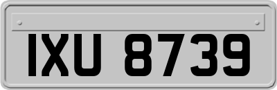IXU8739