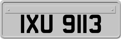 IXU9113