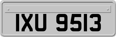 IXU9513