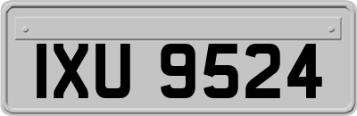 IXU9524