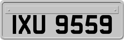 IXU9559