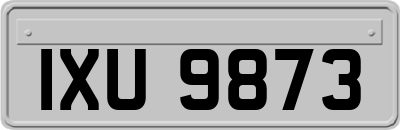 IXU9873