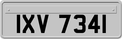 IXV7341