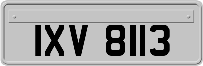 IXV8113
