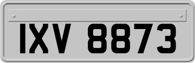 IXV8873