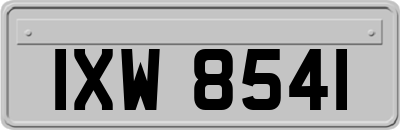 IXW8541