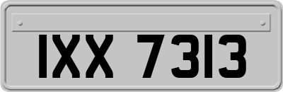 IXX7313