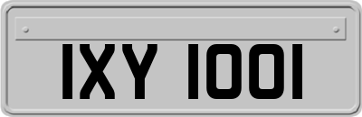 IXY1001