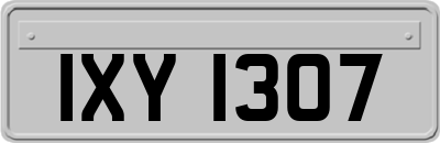 IXY1307