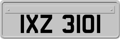 IXZ3101