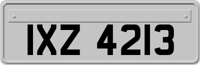 IXZ4213