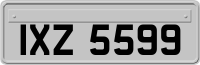 IXZ5599