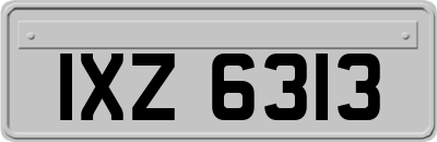 IXZ6313