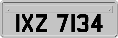IXZ7134