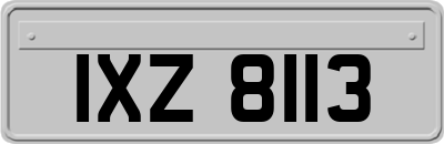 IXZ8113
