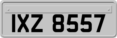 IXZ8557
