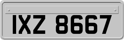 IXZ8667