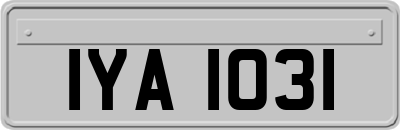IYA1031