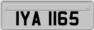 IYA1165