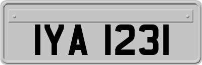 IYA1231