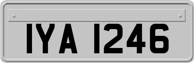 IYA1246