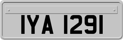 IYA1291
