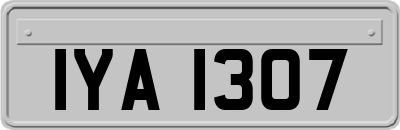 IYA1307