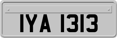 IYA1313