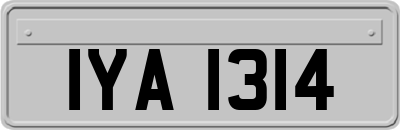 IYA1314