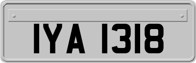 IYA1318