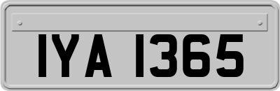 IYA1365