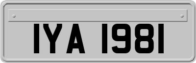 IYA1981