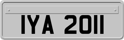 IYA2011