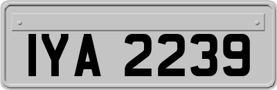 IYA2239