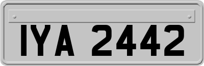 IYA2442