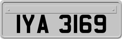 IYA3169
