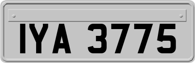 IYA3775