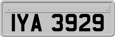 IYA3929