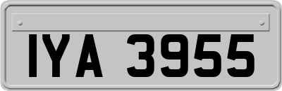 IYA3955