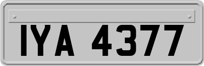 IYA4377